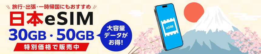 日本無制限・期間容量プラン